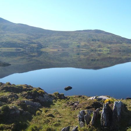 Bru Na Dromoda/Dromid Hostel Killeenleagh Bridge Экстерьер фото